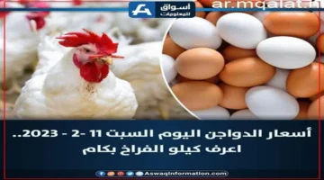 تحديثات الأسعار.. تكلفة شراء الدواجن والأسماك داخل أسواق سوهاج اليوم